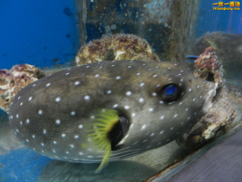 DSCN5046.JPG