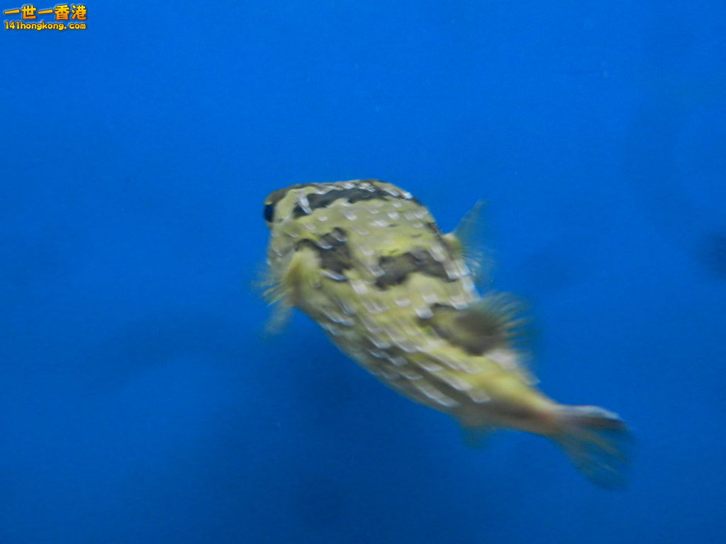 DSCN5049.JPG