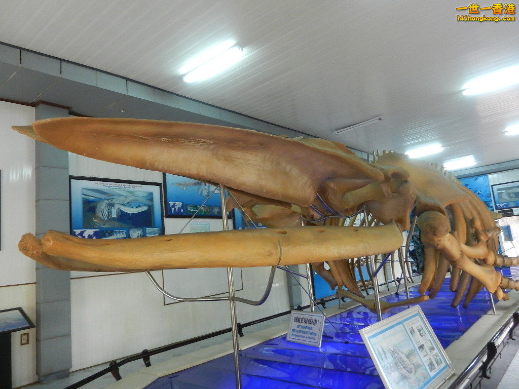 DSCN5057.JPG