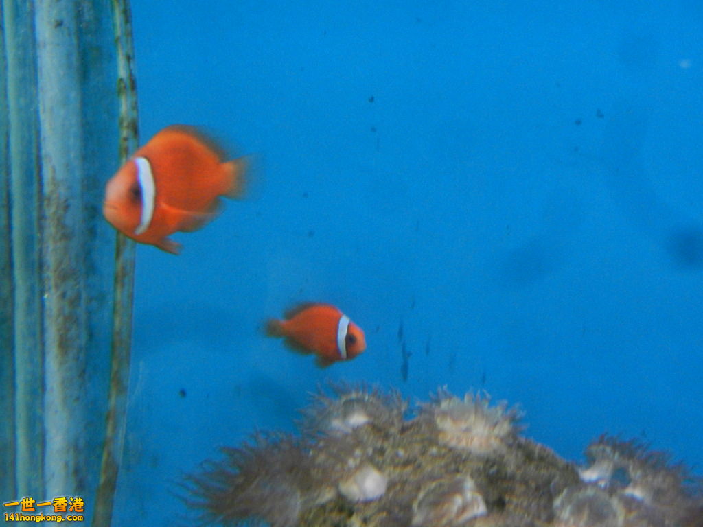 DSCN5055.JPG