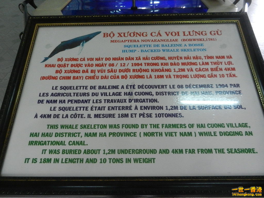 DSCN5058.JPG