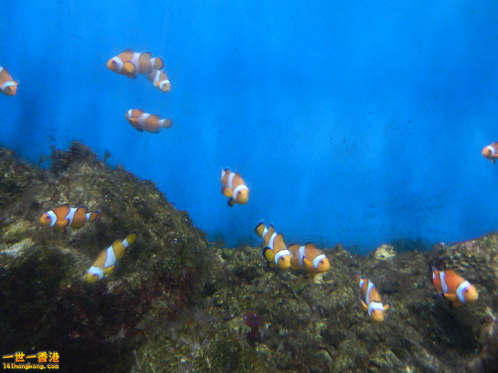DSCN5061.JPG