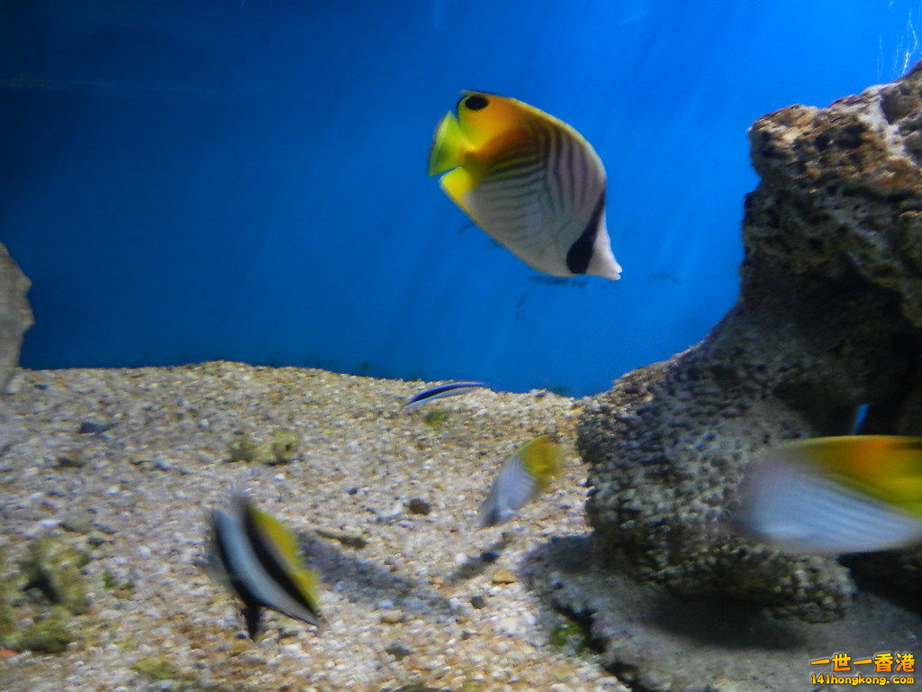 DSCN5062.JPG