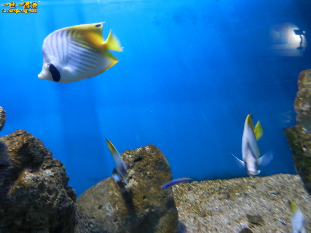 DSCN5063.JPG