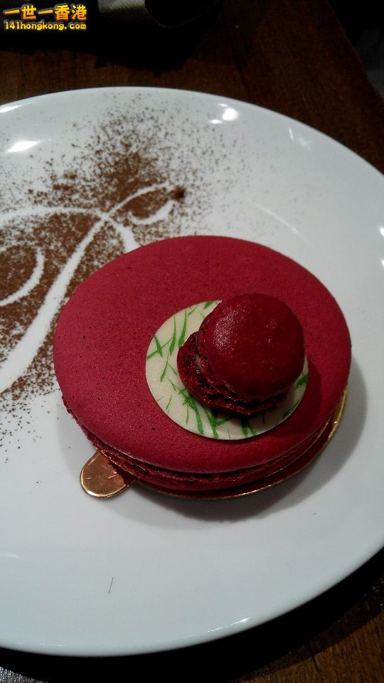 IMG_20140622_165526 small.jpg