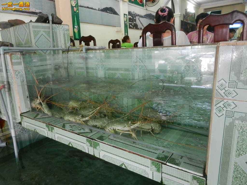 DSCN5147.JPG