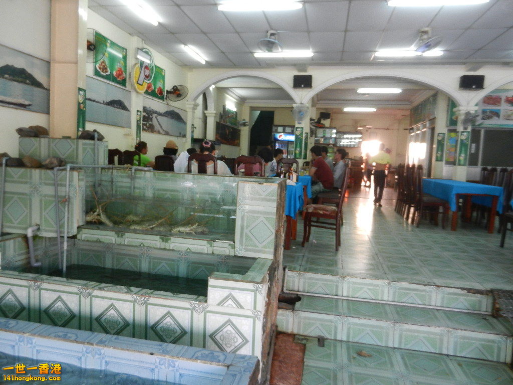 DSCN5149.JPG