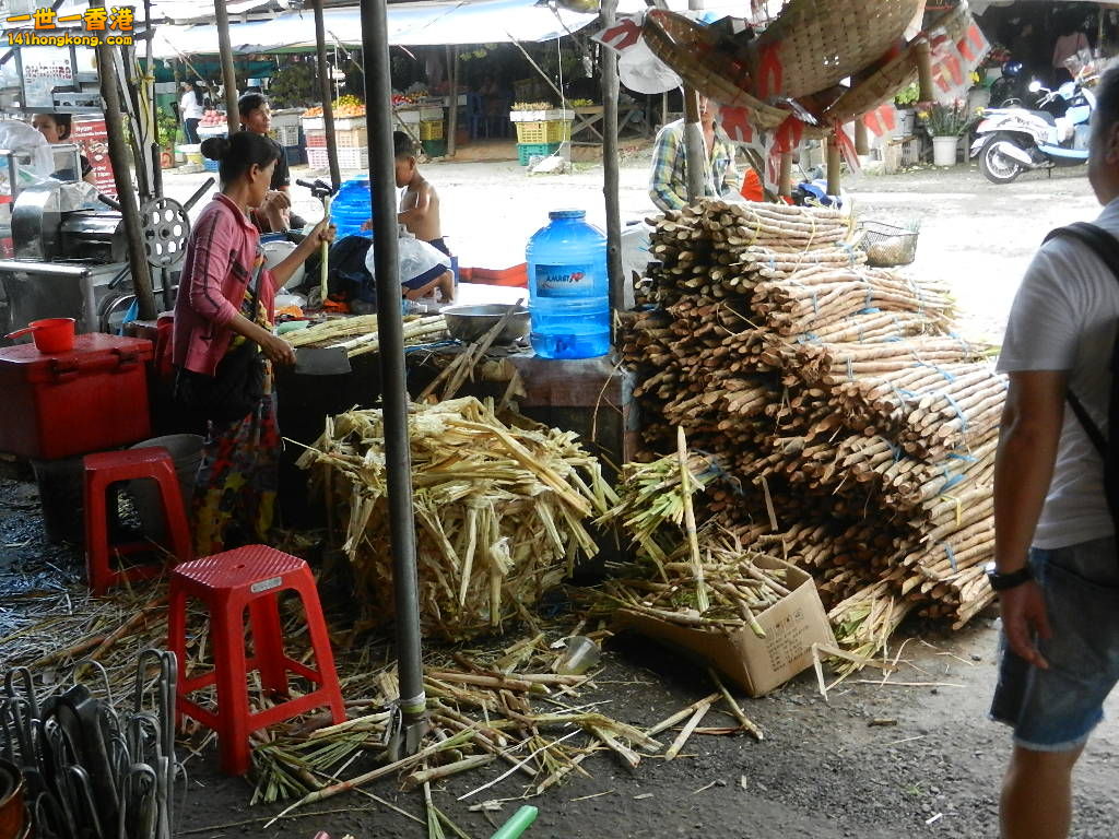 DSCN5230.JPG
