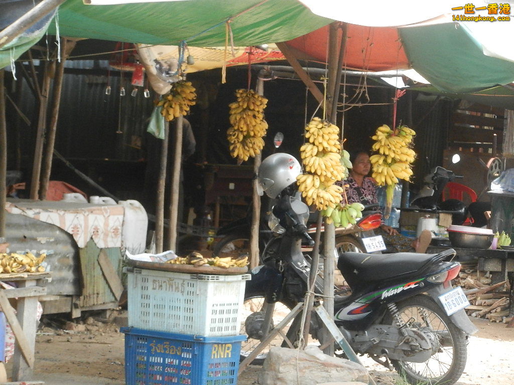 DSCN5233.JPG