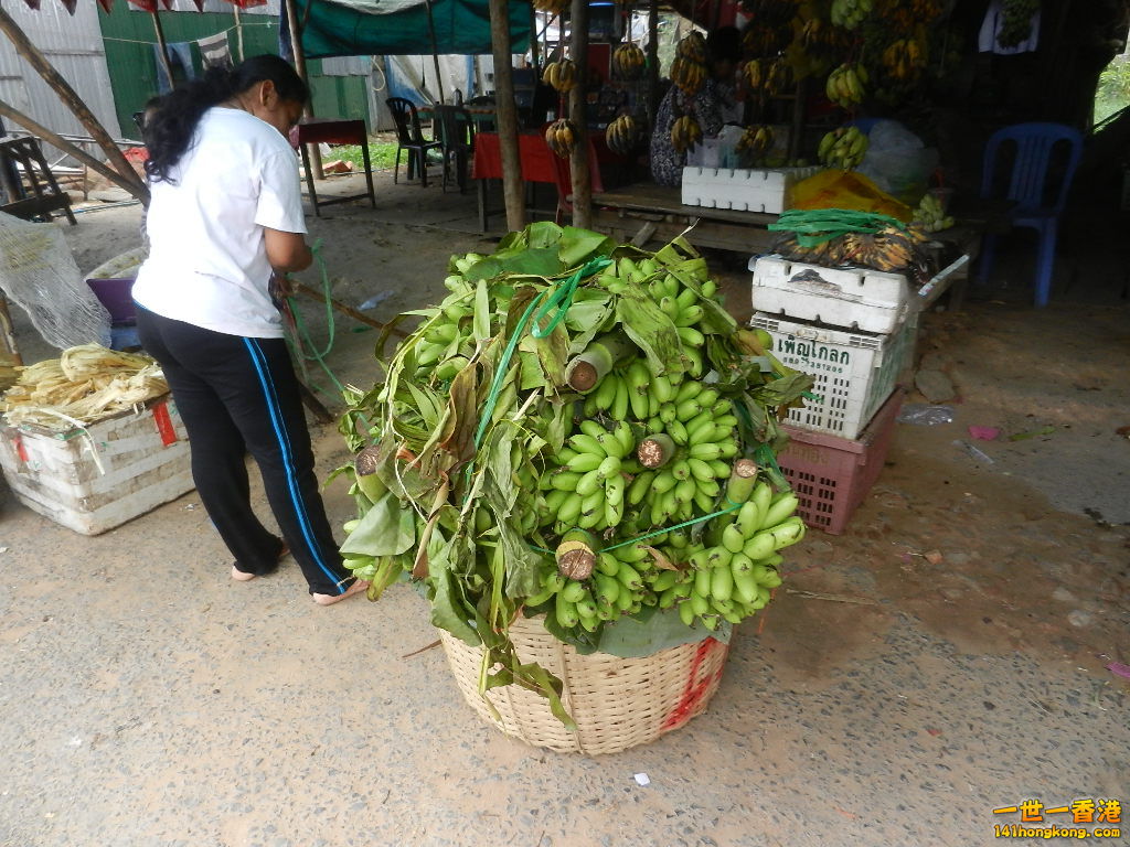 DSCN5235.JPG