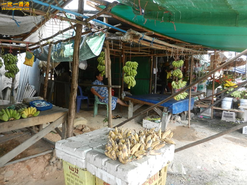 DSCN5236.JPG