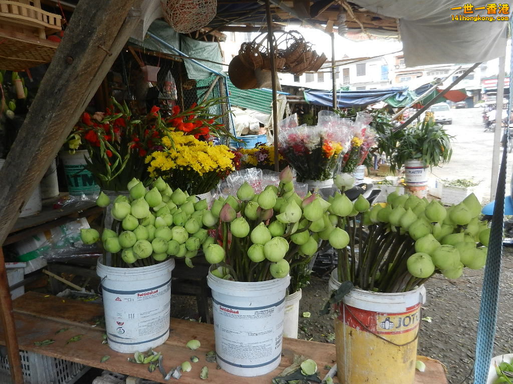 DSCN5237.JPG