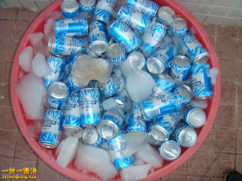 DSC08890 - 複製.JPG