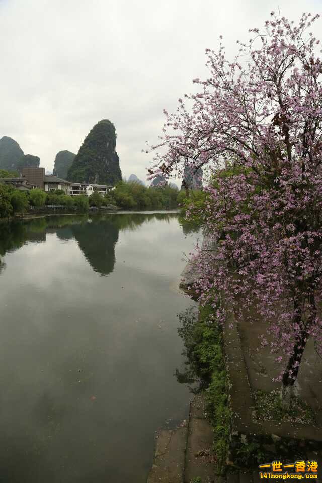 IMG_1193.JPG