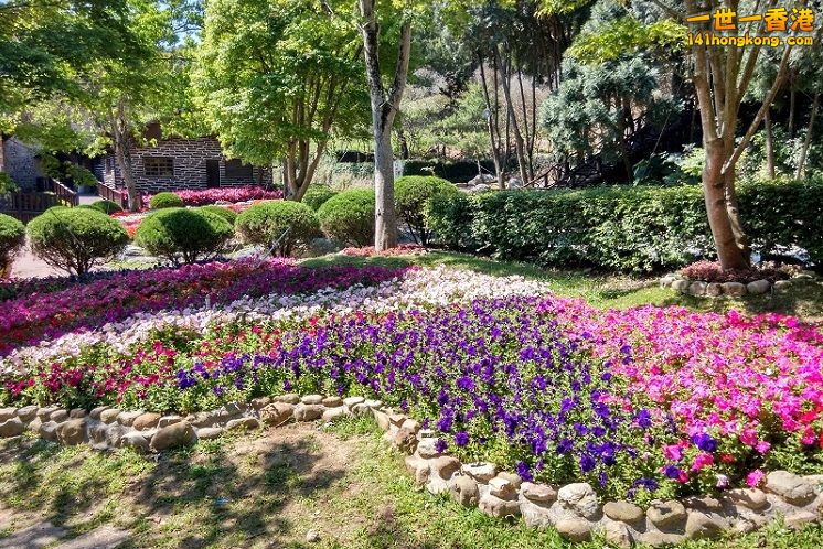 IMG_20150403_100215_HDR 748x529 ok good.jpg