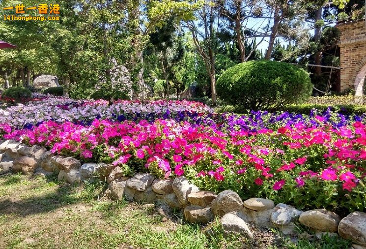 IMG_20150403_100201_HDR 748x554 ok good good.jpg