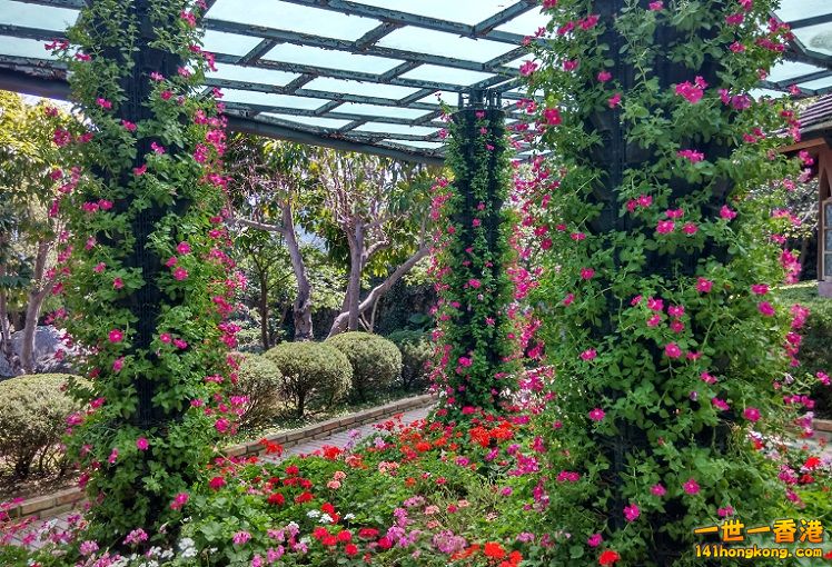 IMG_20150403_104323_HDR 748x510.jpg