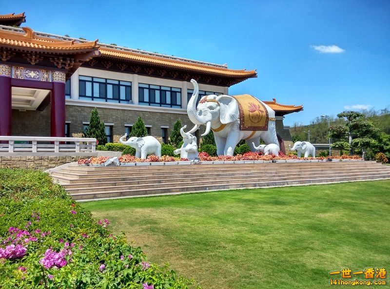 IMG_20150405_114917_HDR.jpg