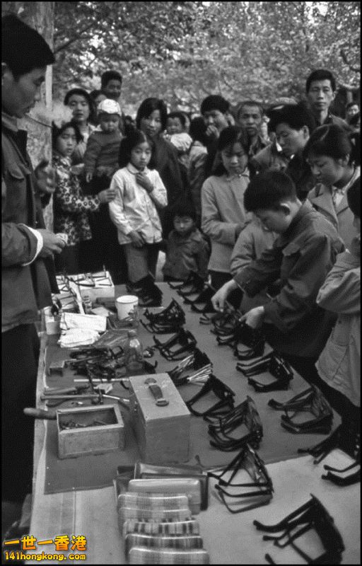 Img7377011_n 800.jpg