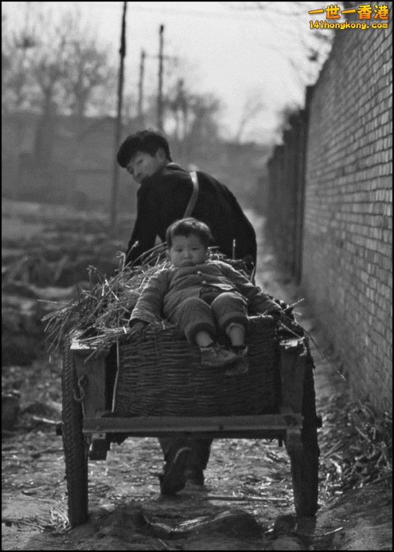 Img7377003_n 800.jpg