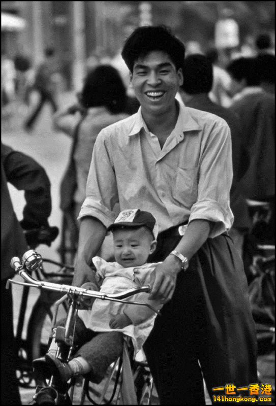 Img7377002_n 800.jpg