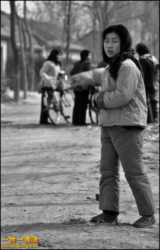 Img7377001_n 800.jpg