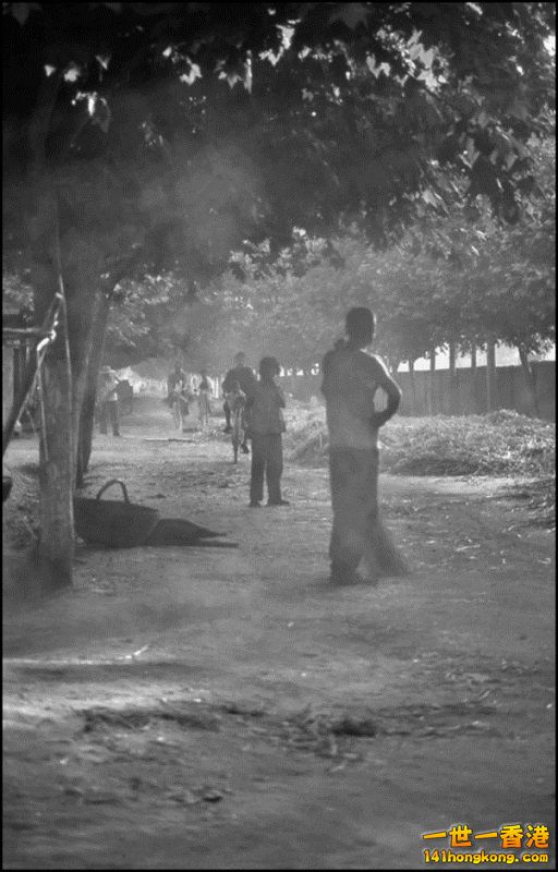 Img7377000_n 800.jpg