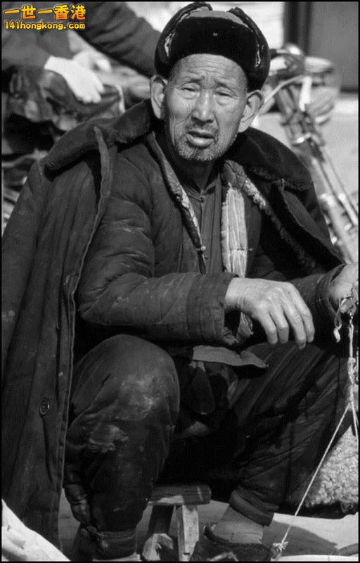 Img7376999_n 800.jpg