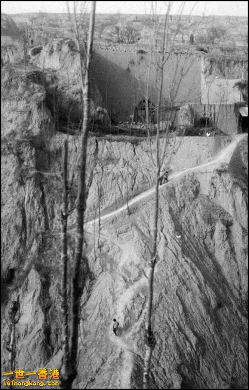 Img7376998_n 800.jpg