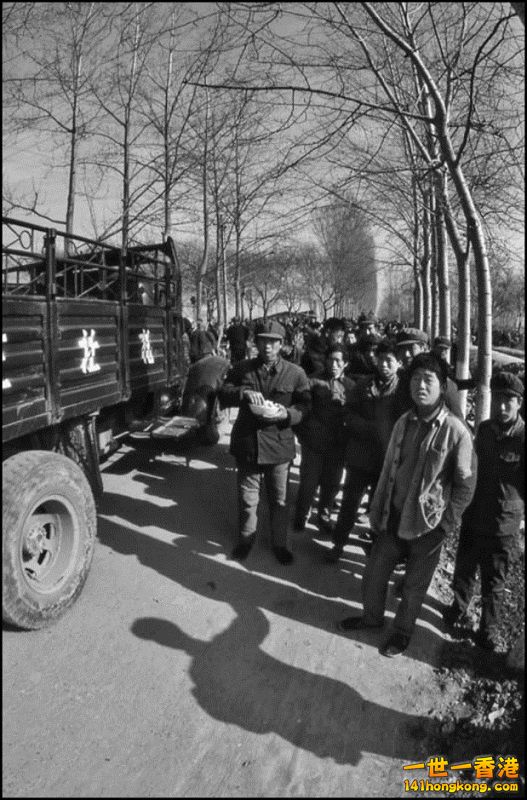 Img7377111_n 800.jpg