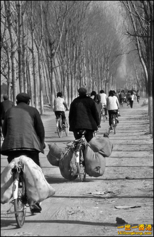 Img7377110_n 800.jpg