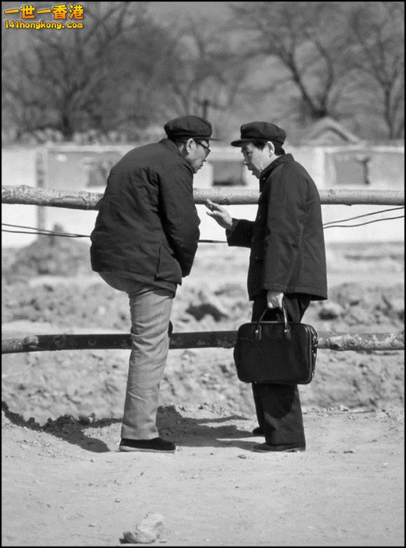 Img7377109_n 800.jpg