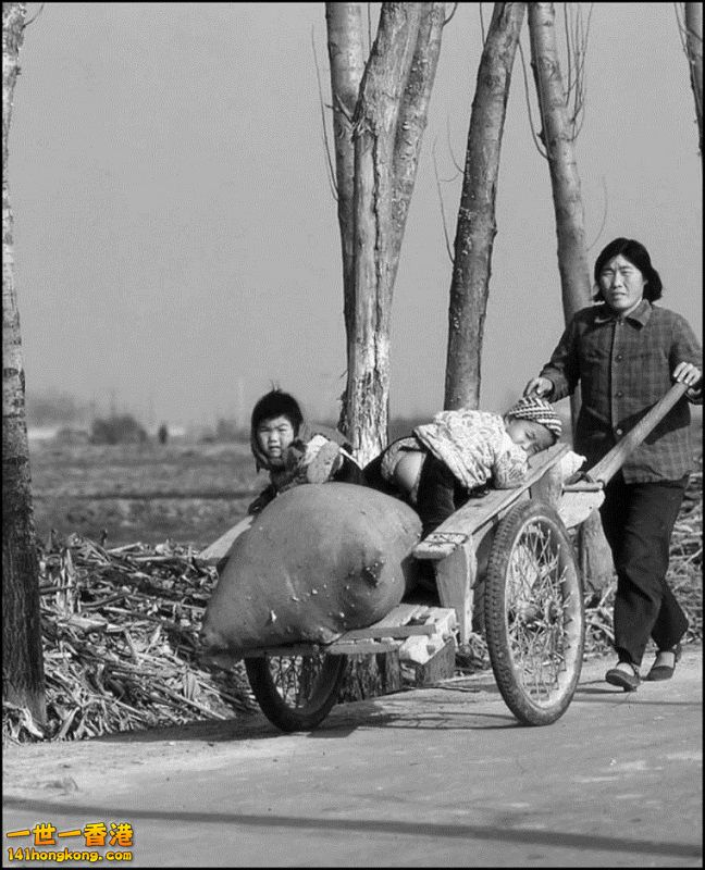 Img7377105_n 800.jpg