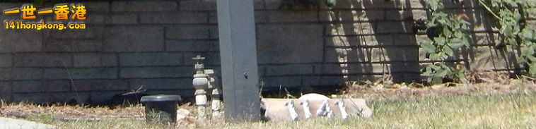 DSCN0024.jpg