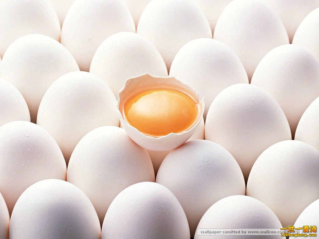 [wall001_com]_egg_wallpaper_EA37006.jpg
