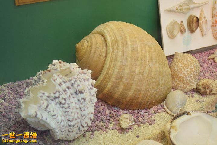 DSC_0085.JPG
