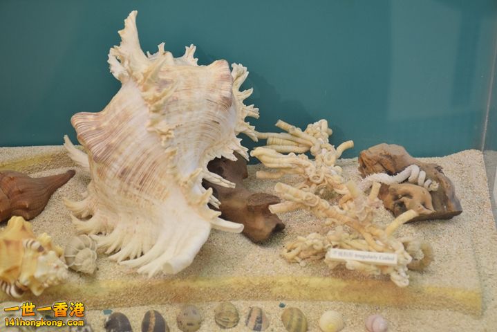DSC_0104.JPG