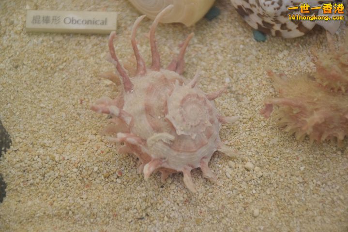 DSC_0106.JPG