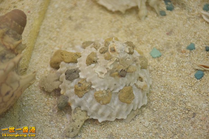 DSC_0109.JPG