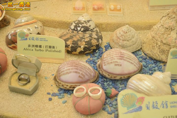 DSC_0112.JPG
