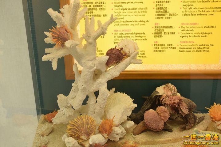 DSC_0113.JPG