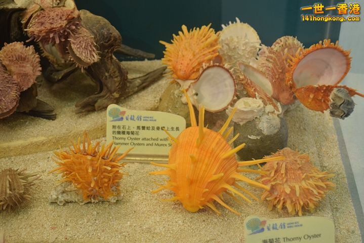DSC_0114.JPG
