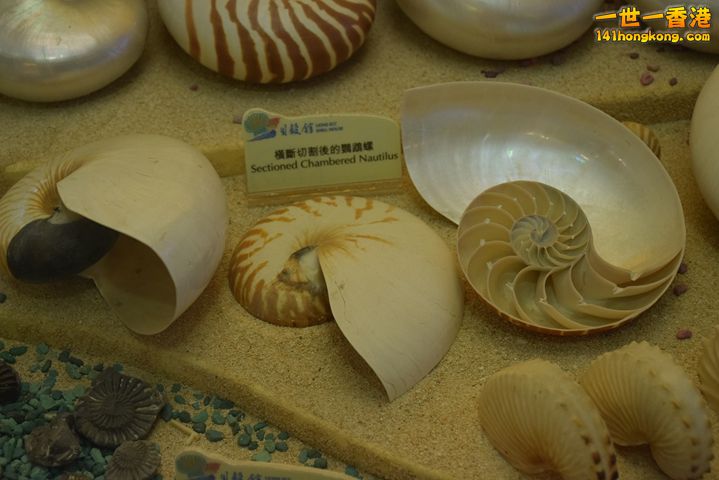DSC_0116.JPG