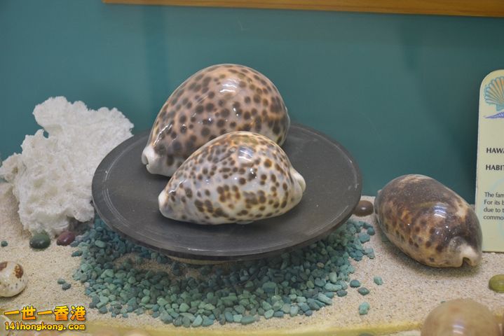 DSC_0122.JPG