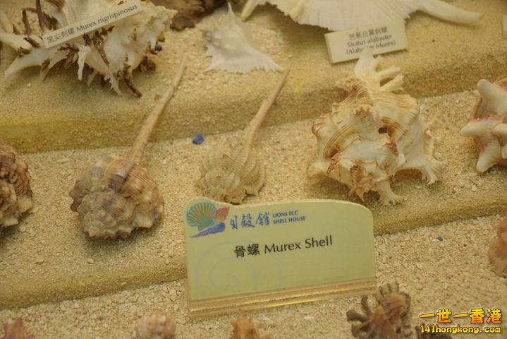 DSC_0123.JPG