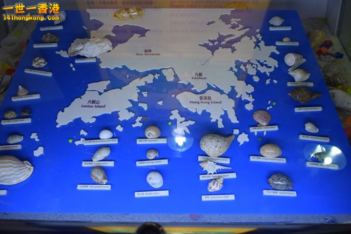DSC_0126.JPG