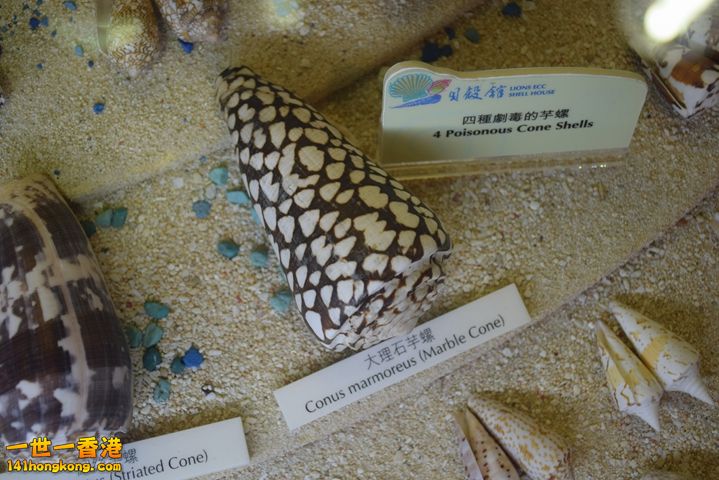 DSC_0128.JPG