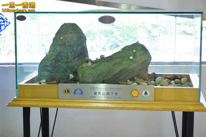 DSC_0134.JPG