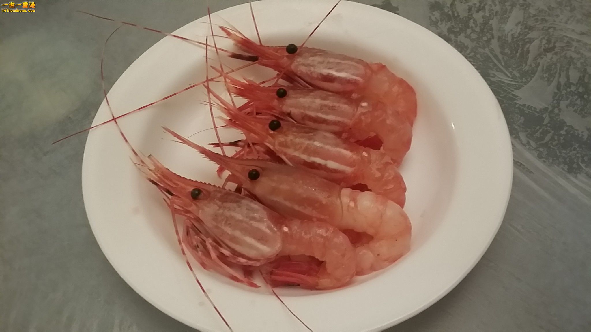 牡丹蝦.jpg