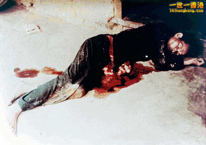 3c27f7af-ded1-4903-b5d2-673a8db84805 700.jpg